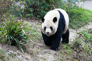 布克谈球队低迷：我生涯前五年经历比这更糟糕 我相信球队每个人