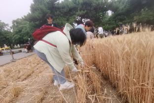 一票难求！浙江主场球票下午14点刚开票，晚间即宣布售罄